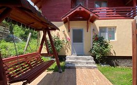Mountain Escape In Carpathian